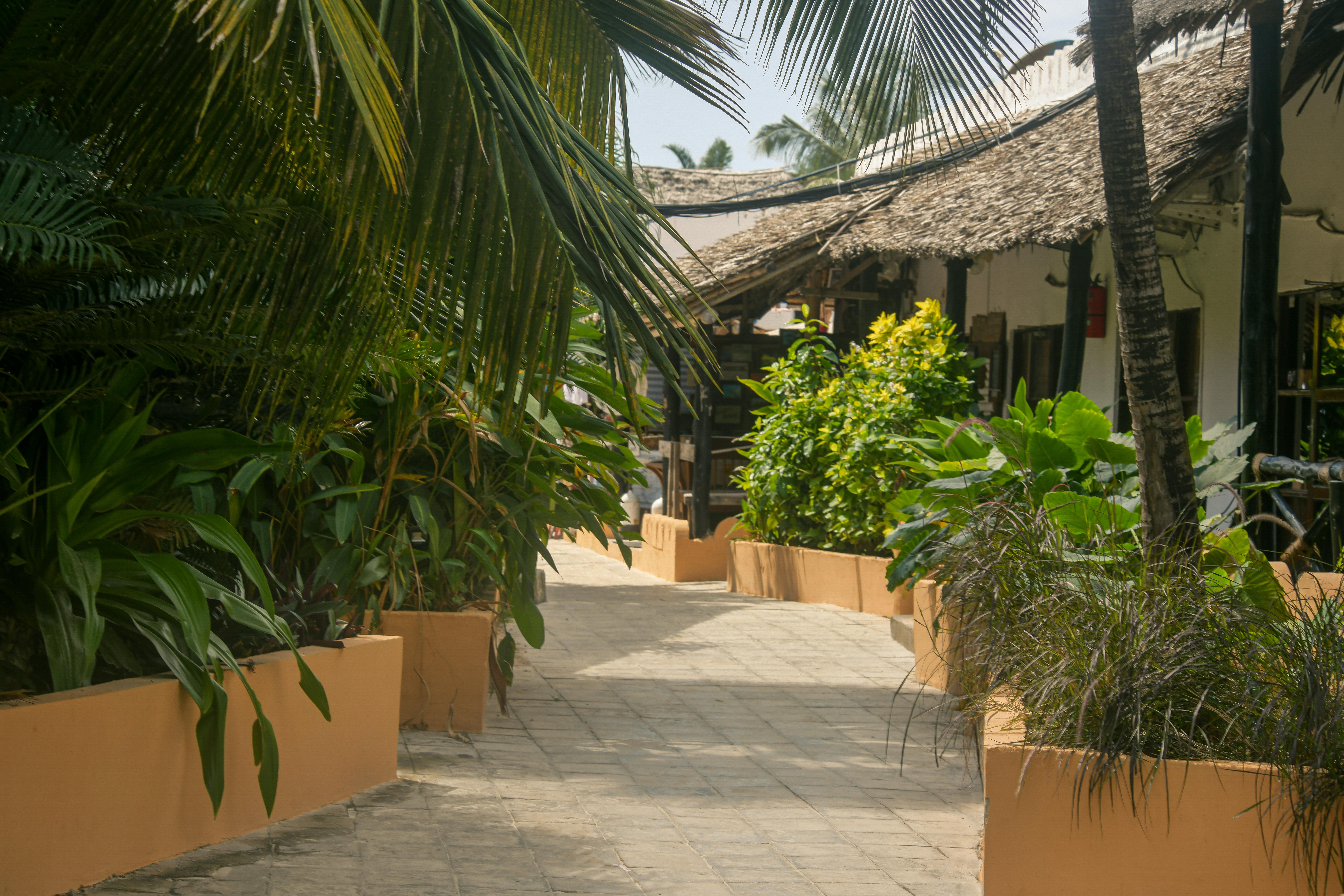 Amaan Beach Bungalows Nungwi Kültér fotó